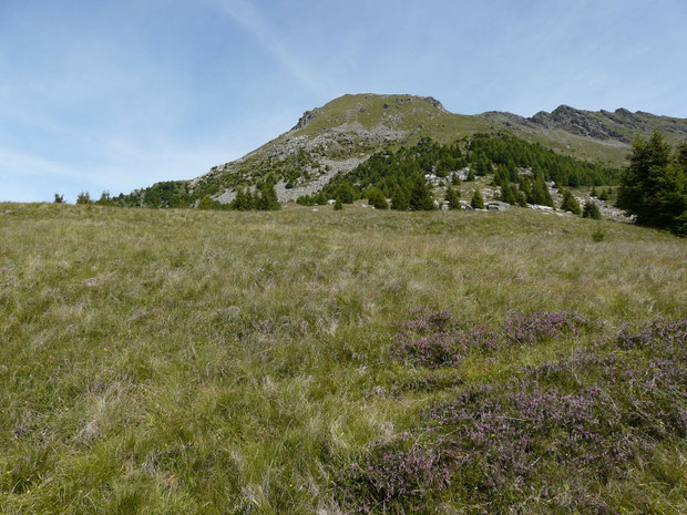 Alpe di Prou