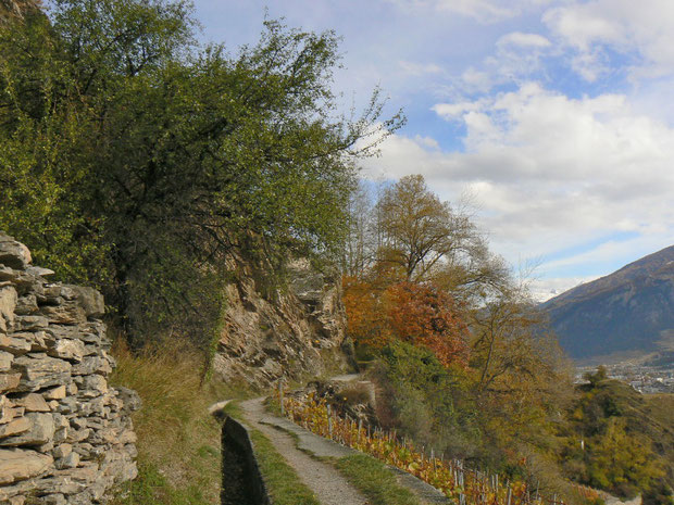 Suona am Südhang des Mont d'Orge