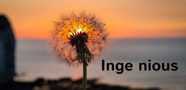 Inge nious