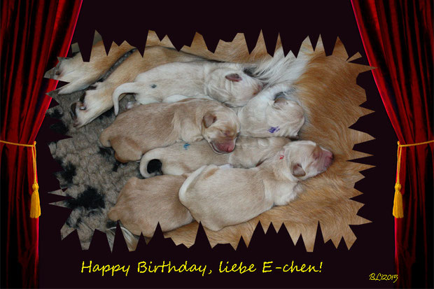 Ganz herzliche Glückwünsche ergehen an unsere E-chen zu ihrem ersten Geburtstag, der genau genommen ja schon der zweite ist. Mensch, war das spannend vor einem Jahr!