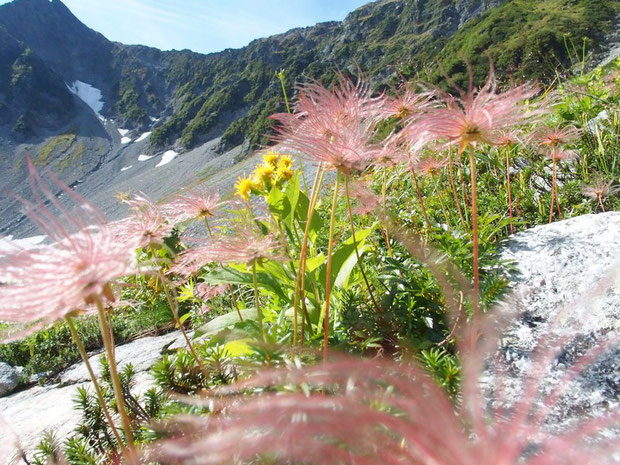 途中から登りと違うパノラマコースを下山しました。