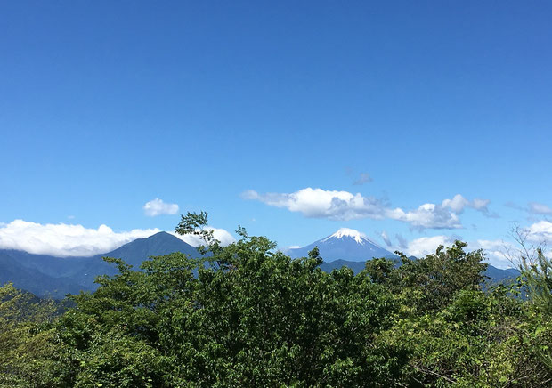 オサモミ整体院 富士山