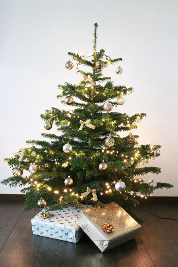 Geschmückte Tannen - Echte fertig geschmückte Weihnachtsbäume 