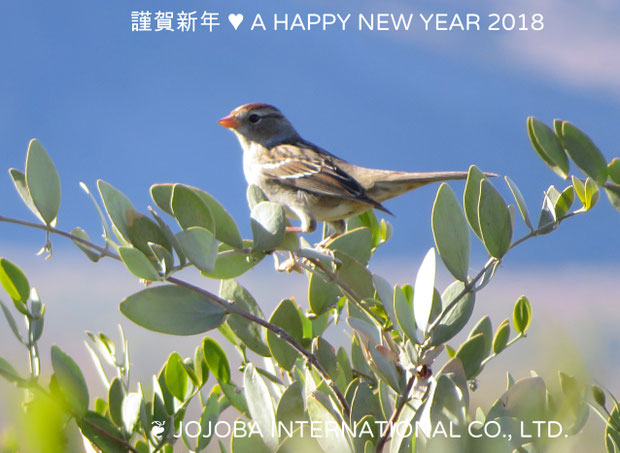 ❦　謹賀新年  A HAPPY NEW YEAR 2018 ♪