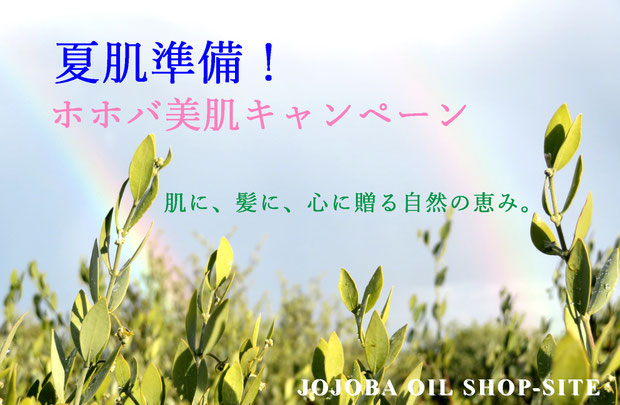 夏肌準備!ホホバ美肌キャンペーン♪天然ホホバで整える 夏の美肌&頭皮ケアセット 🌿天然100%ホホバオイル使用 🧴人気アイテムがセットでお得! 🎁自分にも、大切な人にも 🚿全身すっきり、夏の美肌準備♪ 天然100%ホホバオイル配合の人気シリーズを、今だけ特別価格で。 汗ばむ季節のスキンケア&頭皮ケアに。ギフトにも、自分へのご褒美にもおすすめです。6月限定/数量限定キャンペーン♪ 今だけ特別価格♪