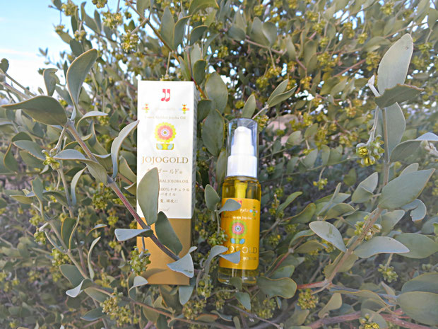 ❦ ARIZONA JOJOGOLD "Mystic dew" - a golden Oasis for your skin. ネイティブホホバが太古より自生する地・原産国アリゾナ州の原種ホホバ 直営農園栽培より絞りたて高純度の新鮮ホホバオイルをお届け致します❤