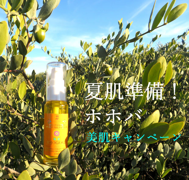 ♔ 肌に、髪に、心に贈る自然の恵み。夏肌準備!ホホバ美肌キャンペーン♪
