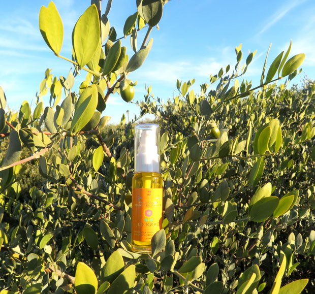 ❦ CLASSIC JOJOBA OIL "JOJOGOLD"