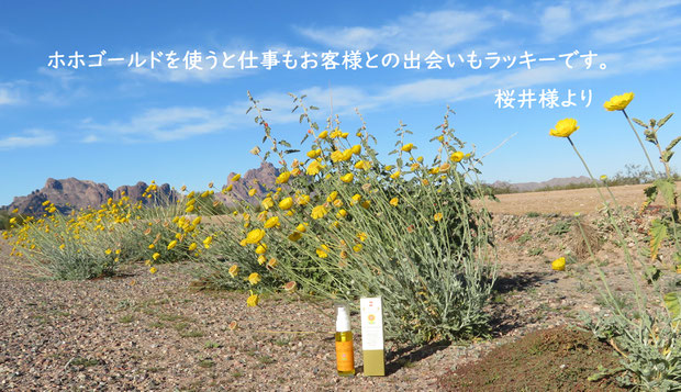 ♔ 《お客様よりお便りです❤有り難うございます》 ★ホホゴールドを使うと仕事もお客様との出会いもラッキーです。桜井様より