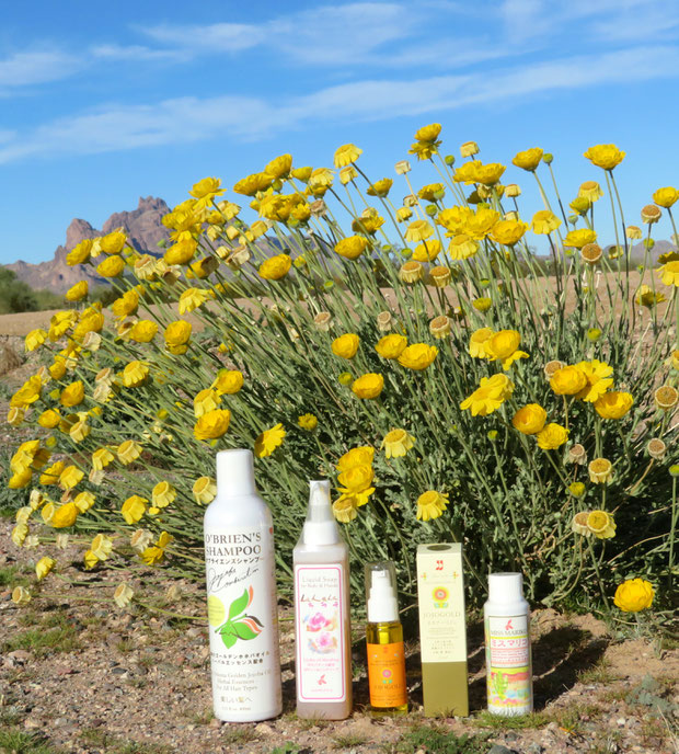 ♔ ホホバシリーズとDesert Marigold Native Wildflower イーグルテールマウンテンを臨んで