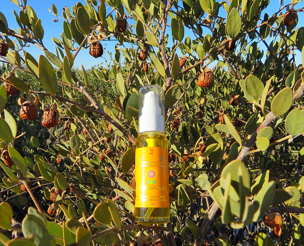 ♔ "Mystic dew" - a golden Oasis for your skin. CLASSIC JOJOBA OIL "JOJOGOLD" 100%ナチュラルゴールデン原種ホホバオイル