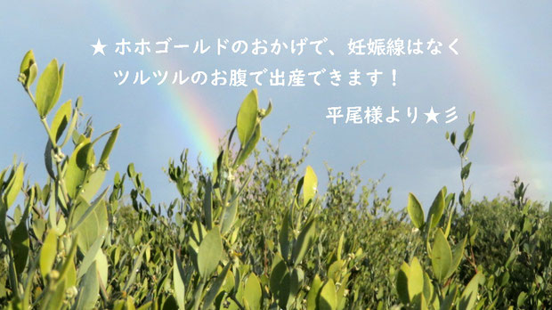 ♔ お客様よりお便りです❤有り難うございます ★ホホゴールドのおかげで、妊娠線はなくツルツルのお腹で出産できます！★彡 平尾様より