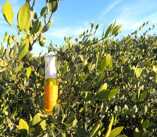 ♔ "Mystic Dew" – A Golden Oasis for Your Skin. CLASSIC JOJOBA OIL 100%ナチュラル 原種ゴールデンホホバオイル ホホバスピリッツ『ホホゴールド』 アリゾナ砂漠に広がる雄大なハクアハラヴァレー。 この大地の地下には、古くから「アクアカリエンテ」の鉱泉が流れ、砂漠のオアシスとして豊かな自然を育んできました。