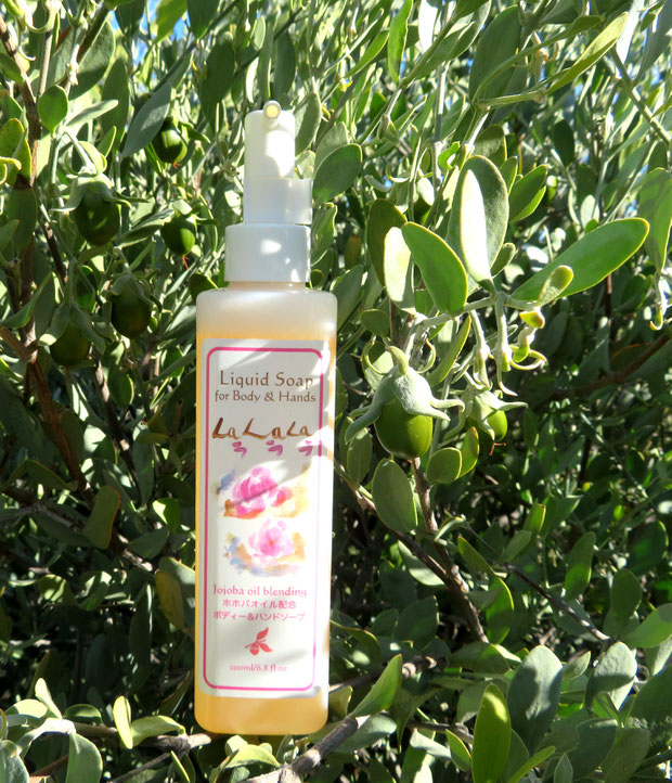 ♔ ラララ リキッドソープ La La La(200ml) 全身&メイク落としOKの優しい石けん。肌が喜ぶ使い心地。