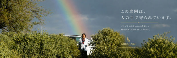 アリゾナの自社ホホバ農園で人物が立つ虹の風景 Founder standing in jojoba farm in Arizona with rainbow