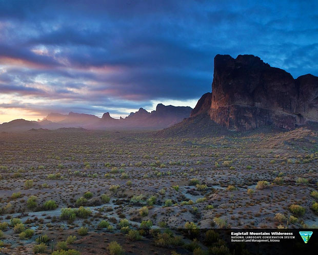 ♔ 先駆者オブライエンズ御夫妻が政府に寄付されたアリゾナ州ハクアハラヴァレーイーグルテールマウンテン環境保護区の山の麓で私達の神秘の植物原種ホホバは生長しています。太古よりの風景・環境がそのまま大切に保護されています。【お写真： National Conservation Lands by U.S. DEPARTMENT OF THE INTERIOR】