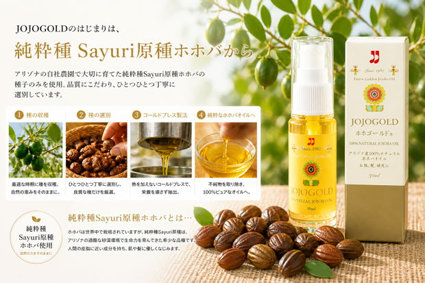 純粋種Sayuri原種ホホバの種とホホバオイル「ホホゴールド」のボトル。アリゾナ産100%ナチュラルの高級スキンケアオイル