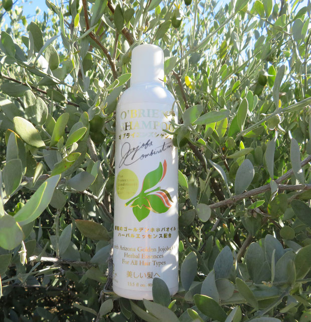 ♔ オブライエンズ シャンプー&コンディショナー O'BRIEN'S SHAMPOO (400ml) 植物成分で髪つやつや。頭皮ケアもバッチリ!