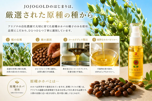 純粋種Sayuri原種ホホバ使用ホホゴールド JOJOGOLD premium jojoba oil from Arizona seeds