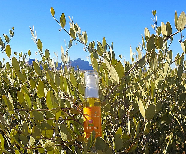 ❦ CLASSIC JOJOBA OIL "JOJOGOLD"