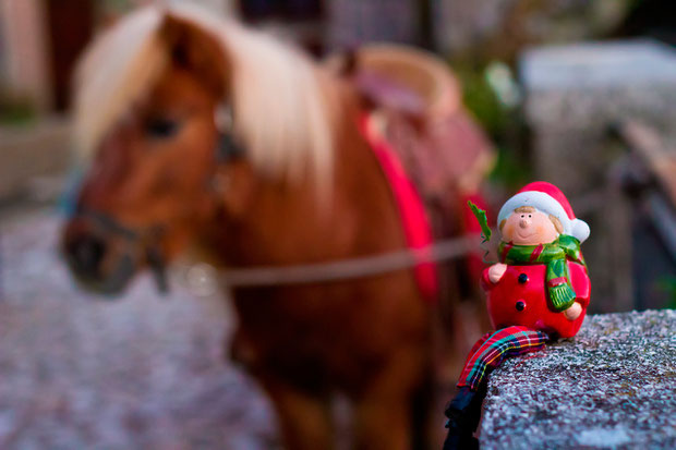 Daniele Antoni Paoli [Il Paese di Babbo Natale 2013]