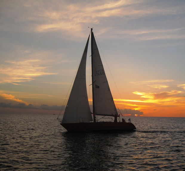 Sailing yacht Papagayo