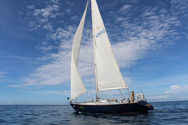 Race yacht papagayo