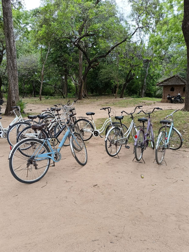 Fietsen in Polonnaruwa
