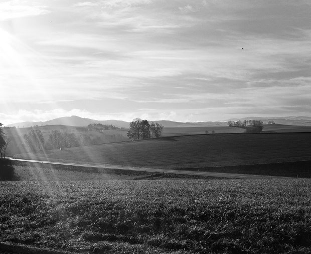 Bucklige Welt