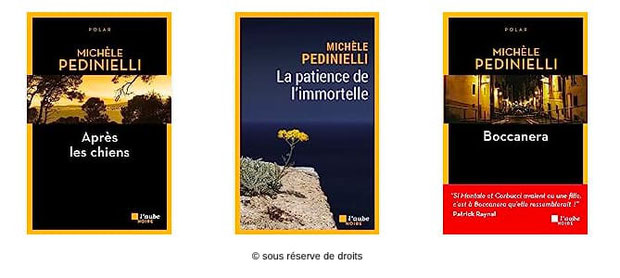 Romans Michèle Pédinielli
