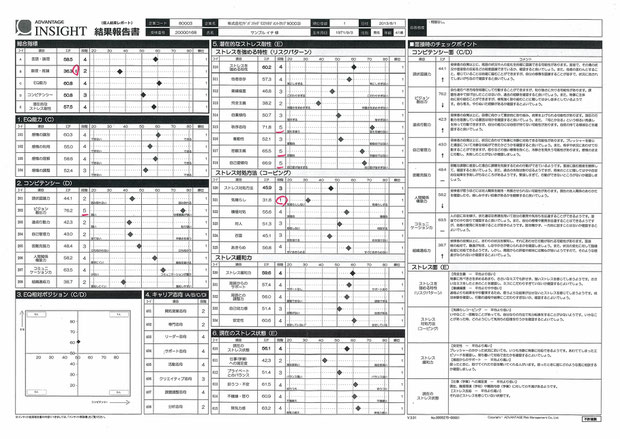 インサイト　結果報告書　Ｈｕｄｅｍ