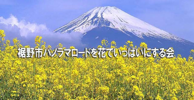 花 パノラマロード 裾野市観光協会公式ホームページ 花 パノラマロード 裾野市観光協会公式ホームページ