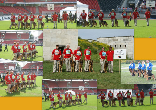 Zuchtgruppe zum Kolbenguss - 2011