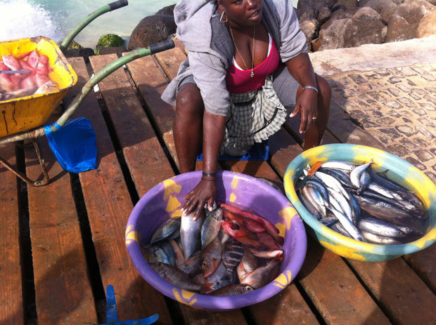 Das Hauptnahrungsmittel: frischer Fisch