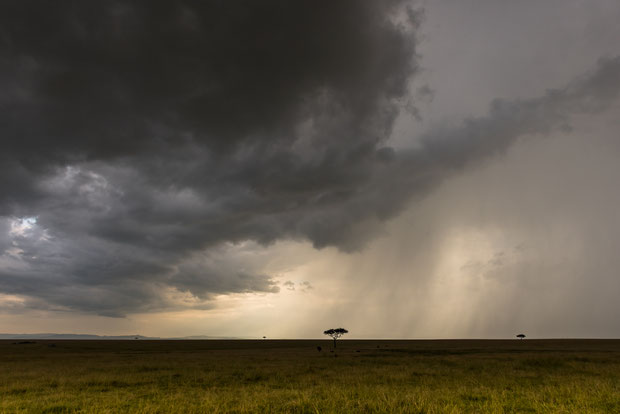Gewitterstimmung in der Masai Mara in Kenia