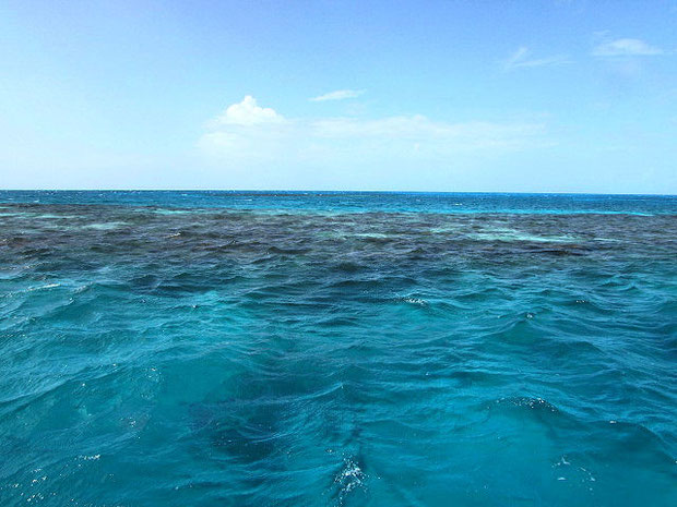 Blue hole belize