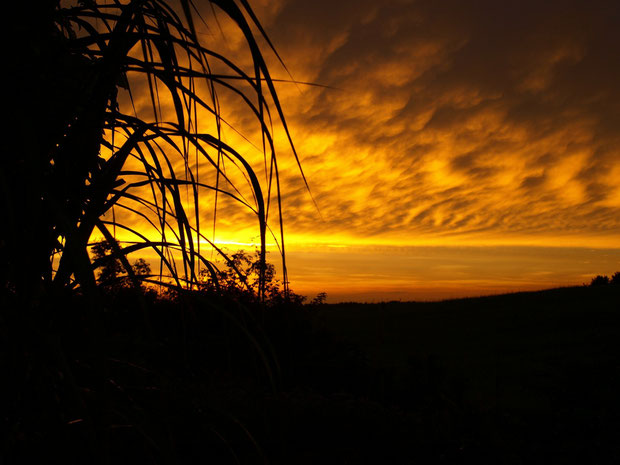 Abendstimmung, Sonnenuntergang am Lübbesee in Templin, Uckermark, Schorfheide, Land Brandenburg