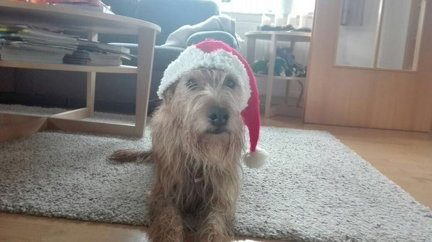 Weihnachten 2017