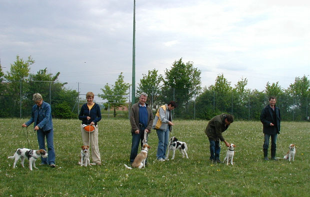 Sechs Leinenmachos am zweiten Trainingstag....