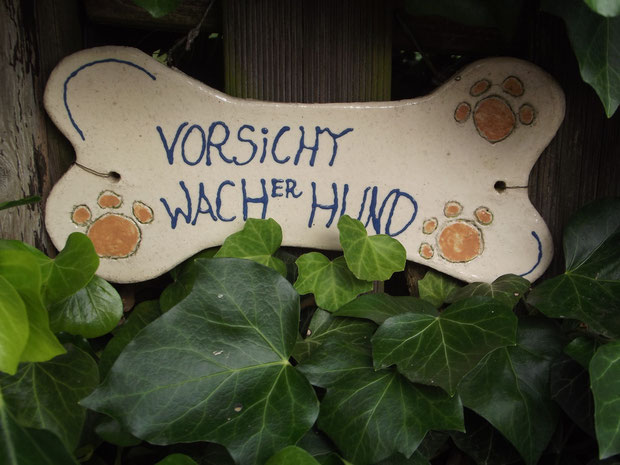Sind Sie so wach wie Ihr Hund?