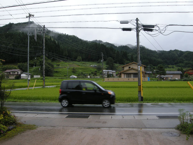 火葬場は山の中腹あたり　杉木立の中にありました