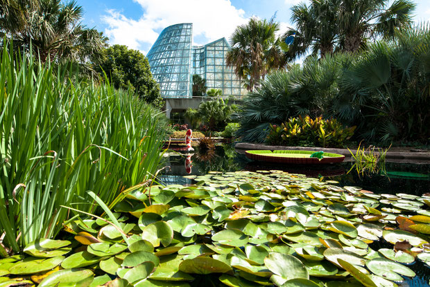 San Antonio Botanical Gardens