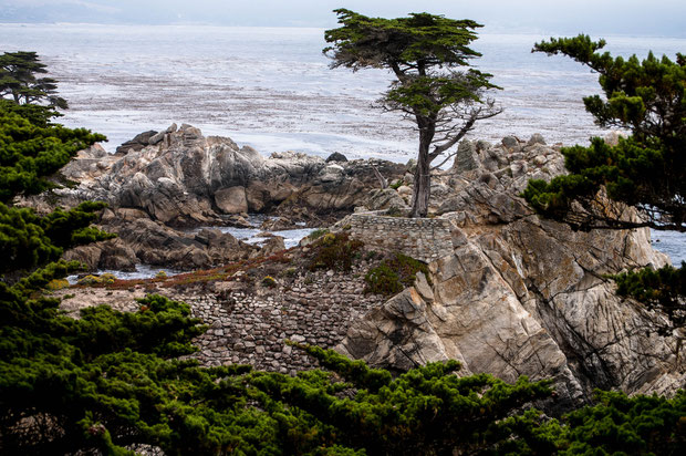 OK, so it is not Texas....but every now and then I have to show off other state's offerings. PebbleBeach, CA.