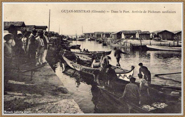 Arrivée des pêcheurs sardiniers au port du Canal à Gujan-Mestras, Bassin d'Arcachon (33)