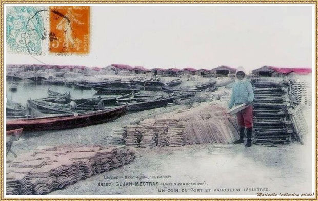 Gujan-Mestras autrefois : en 1908, parqueuse dans la darse principale du Port de Larros, Bassin d'Arcachon (carte postale, collection privée)