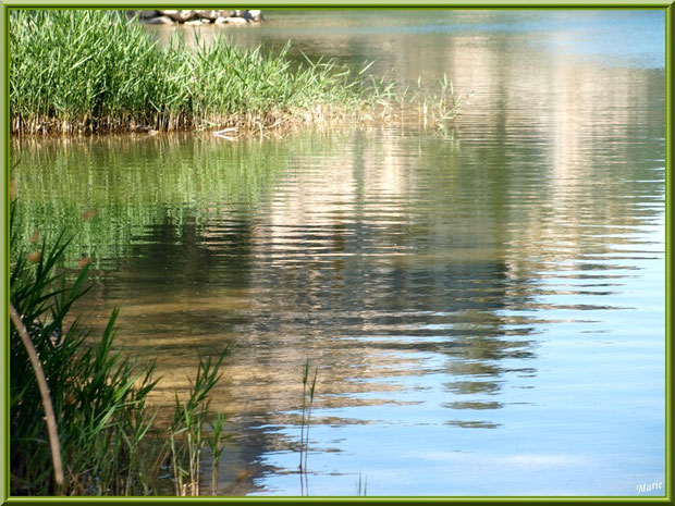 Le lac de Peiroou et ses reflets à Saint Rémy de Provence, Alpilles (13)