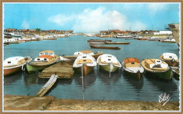 Gujan-Mestras autrefois : Pinasses et chalands dans la darse principale du Port de Larros, Bassin d'Arcachon (carte postale, collection privée)