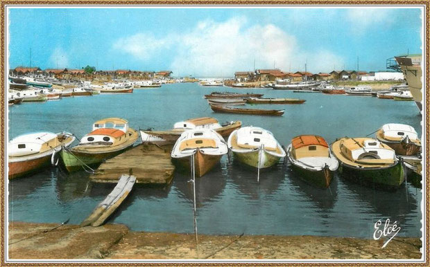 Gujan-Mestras autrefois : Pinasses et chalands dans la darse principale du Port de Larros, Bassin d'Arcachon (carte postale, collection privée)