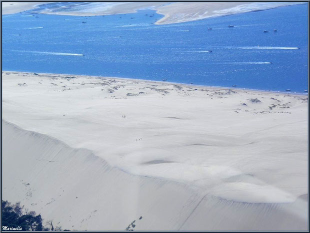 La Dune du Pyla et le Banc d'Arguin, Bassin d'Arcachon (33) vu du ciel 