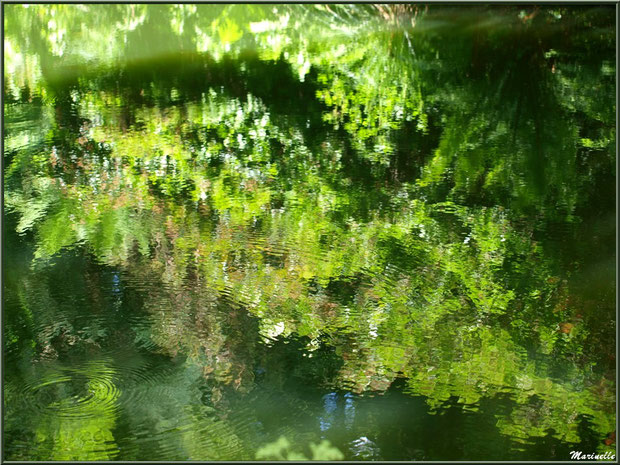 Reflets de la végétation sur le Petit Etang au bas de la Cascade - Les Jardins du Kerdalo à Trédarzec, Côtes d'Armor (22) 